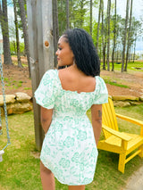 Sunday Picnics Dress