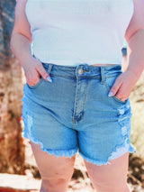 Kara Denim Shorts